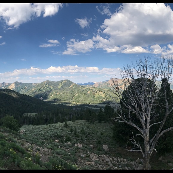 Meet your Posher, Sara - Picture 1 of 1